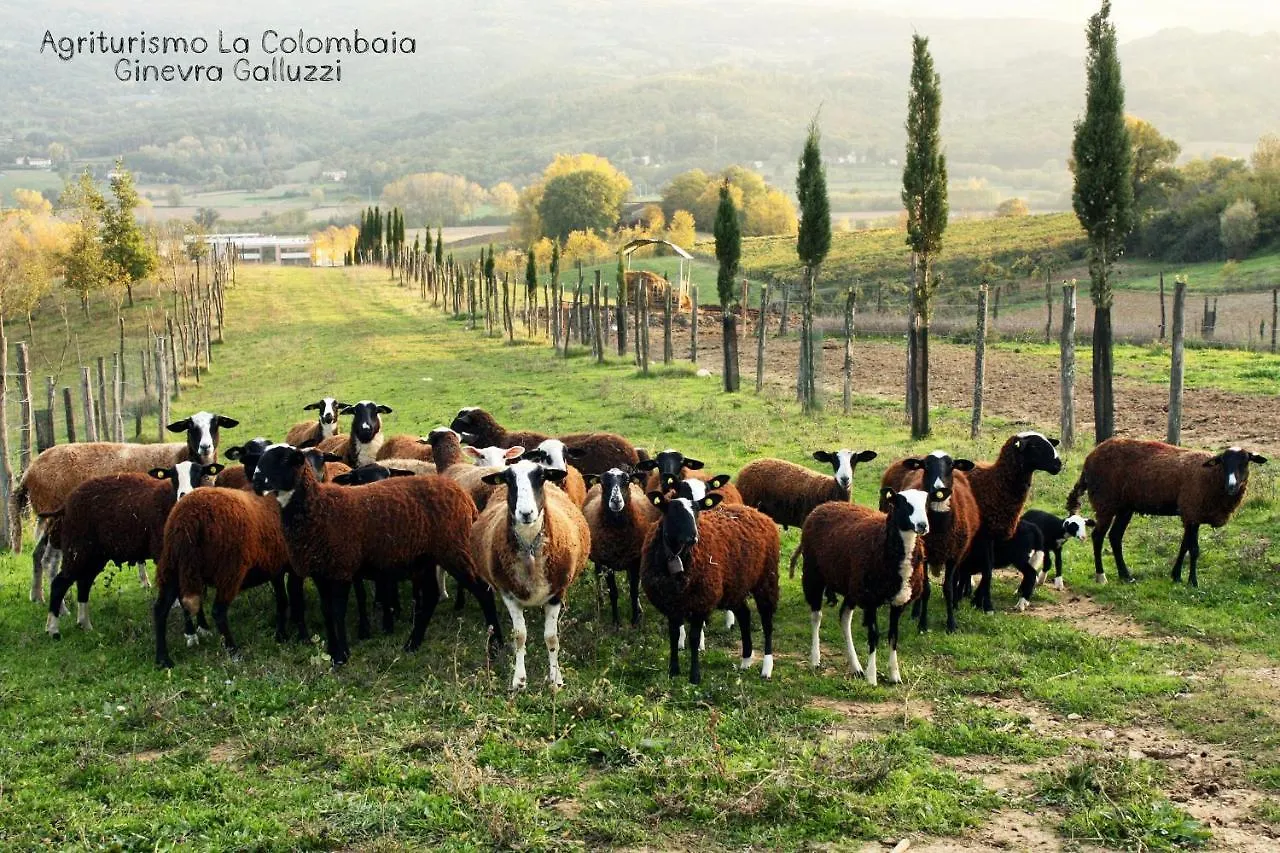 Agriturismo La Colombaia Villa Vicchio 0*,