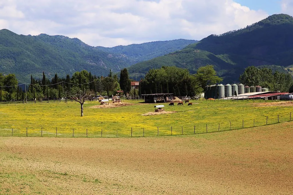 Agriturismo La Colombaia Villa Vicchio Italy
