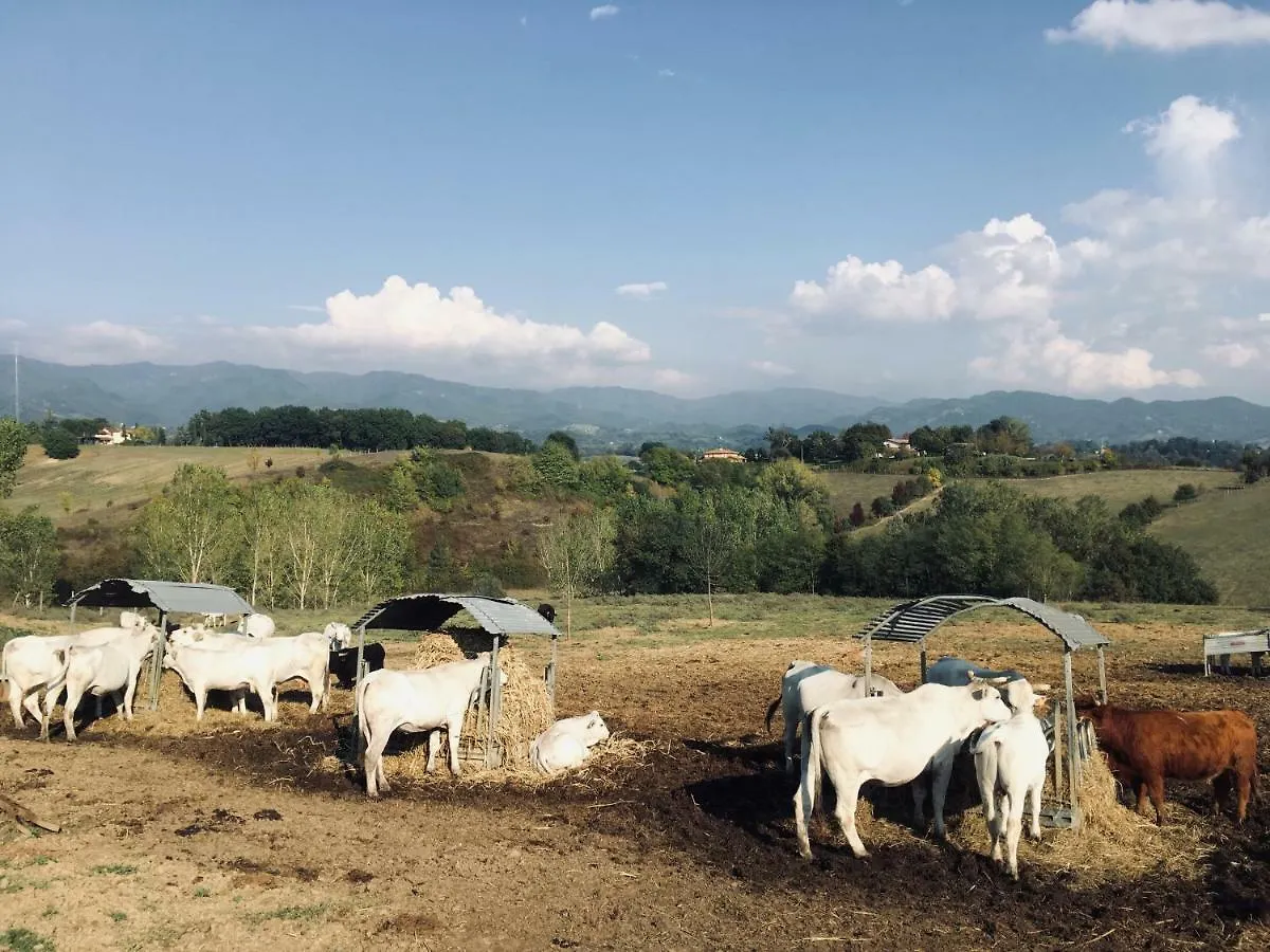 Alojamento de Turismo Rural Agriturismo La Colombaia Vila Vicchio Itália